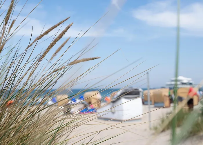 Schlafstrandkorb Nr 7